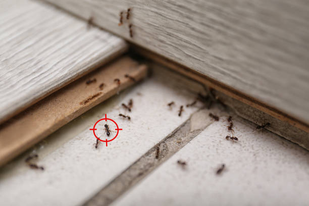 Best Pest Removal Services  in Heartland, TX