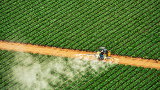 Best Termite Control Services  in Heartland, TX