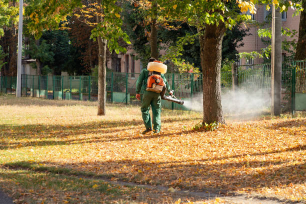 Best Cockroach Control Services  in Heartland, TX