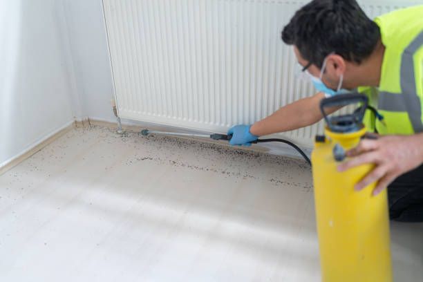 Best Pest Prevention Services  in Heartland, TX