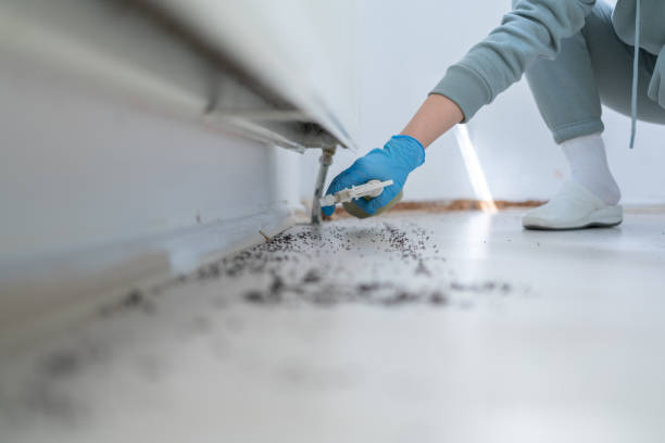 Best Commercial Pest Control Services  in Heartland, TX