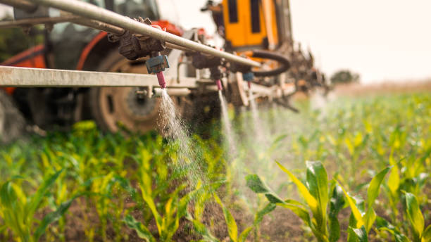 Best Pest Control Treatment  in Heartland, TX