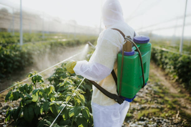 Best Cockroach Control Services  in Heartland, TX